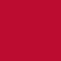 Fantasy Christmas (RED) Design